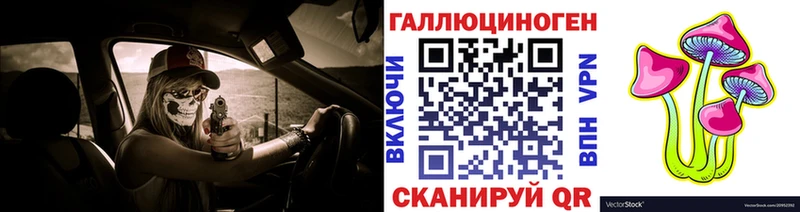Псилоцибиновые грибы Psilocybine cubensis  Устюжна 